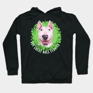 One Lucky Bull Terrier Funny St. Patrick Dog Hoodie